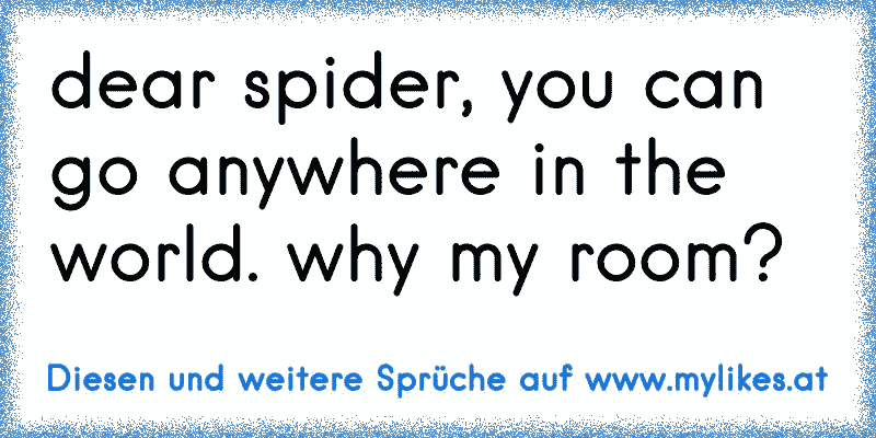 dear spider, you can go anywhere in the world. why my room?
