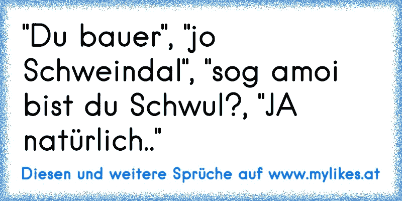 "Du bauer", "jo Schweindal", "sog amoi bist du Schwul?, "JA natürlich.."
