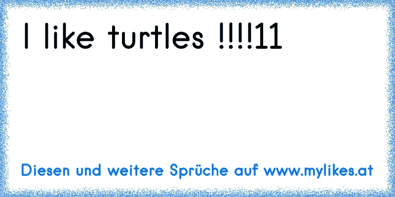 I like turtles !!!!11

