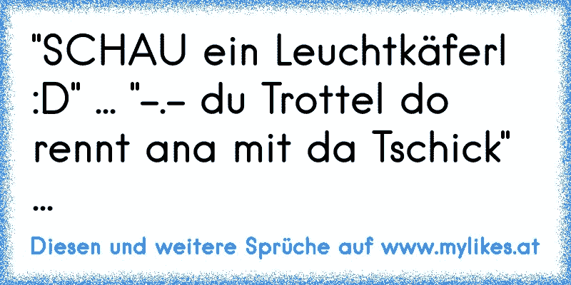 "SCHAU ein Leuchtkäferl :D" ... "-.- du Trottel do rennt ana mit da Tschick" ...
